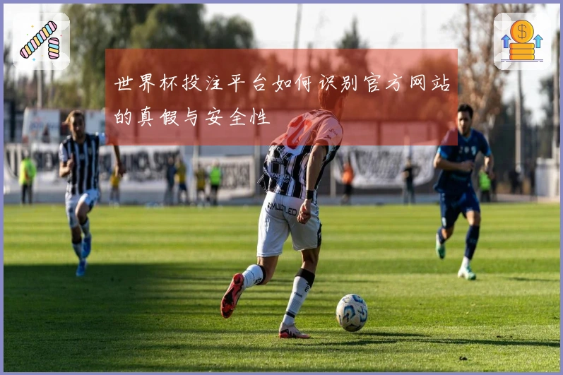 世界杯投注平台如何识别官方网站的真假与安全性