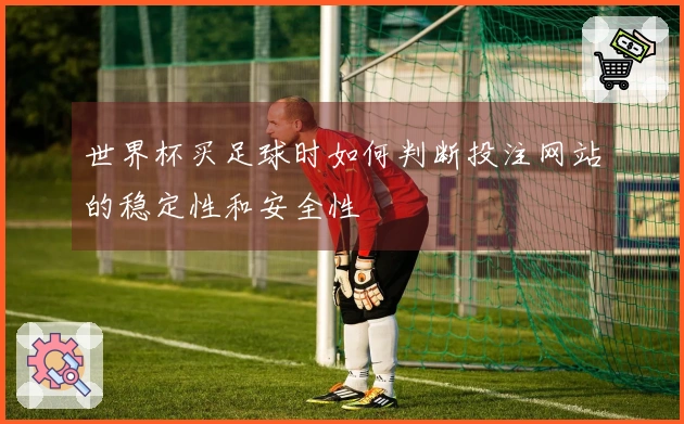 世界杯买足球时如何判断投注网站的稳定性和安全性